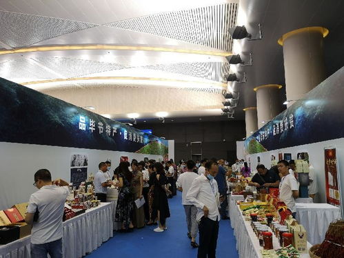 畢節(jié)市來渝舉行旅游推介會 景區(qū)升級、門票優(yōu)惠、精品線路促旅游發(fā)展